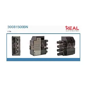 30081500BN REAL