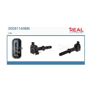 30081140BN REAL