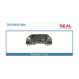 30109201BN REAL