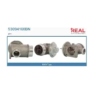 53094100BN REAL