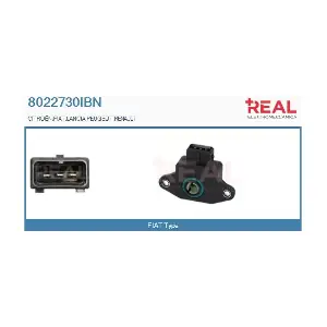 8022730IBN REAL