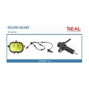8028918EBN REAL