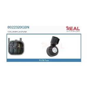 8022320GBN REAL