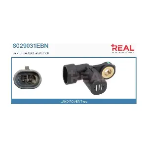 8029031EBN REAL
