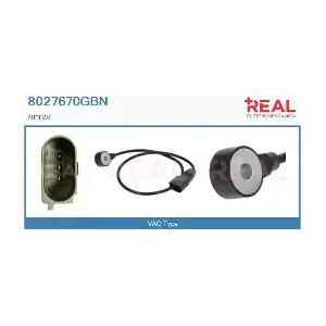 8027670GBN REAL