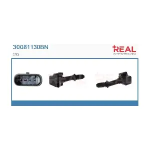 30081130BN REAL