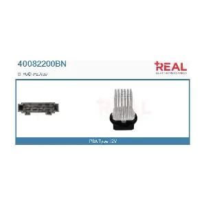 40082200BN REAL