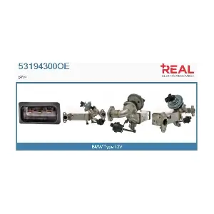 53194300OE REAL