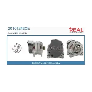 20101242OE REAL