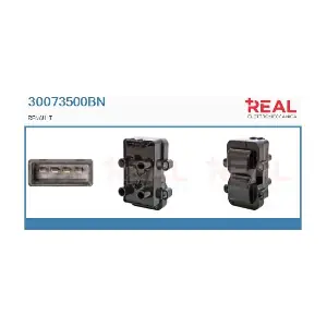 30073500BN REAL