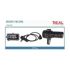 8028174CBN REAL