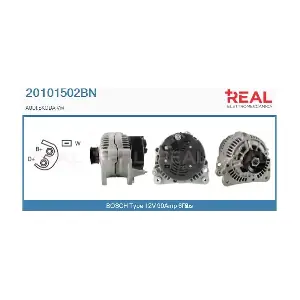 20101502BN REAL