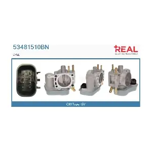 53481510BN REAL