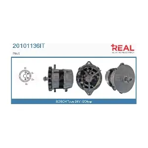 20101136IT REAL