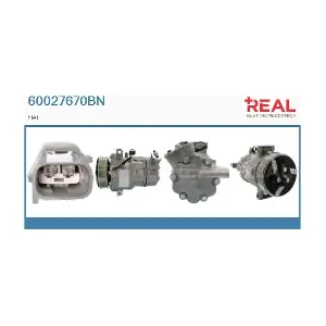 60027670BN REAL