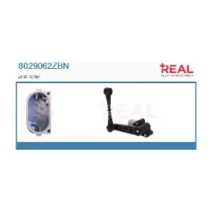 8029062ZBN REAL