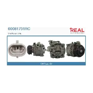60081731RC REAL