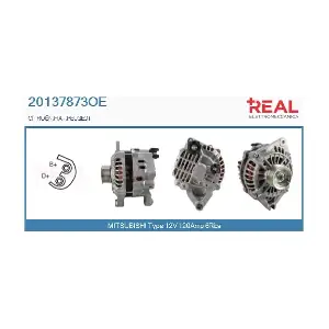 20137873OE REAL