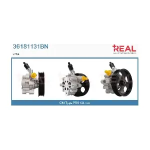 36181131BN REAL