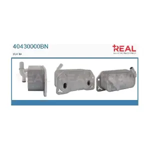 40430000BN REAL