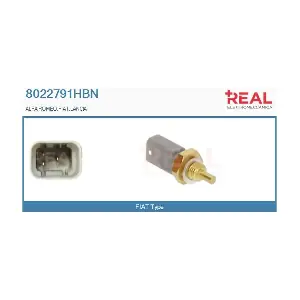 8022791HBN REAL