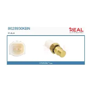 8028930KBN REAL