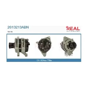 2013213ABN REAL