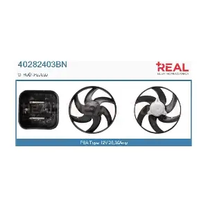 40282403BN REAL