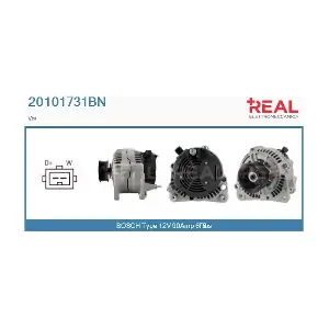 20101731BN REAL
