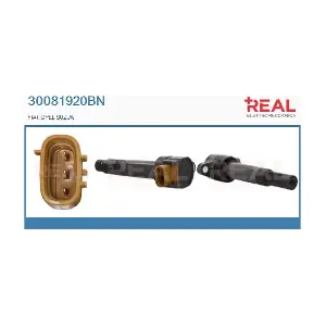 30081920BN REAL