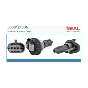 30081240BN REAL