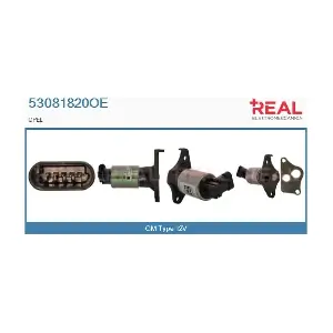 53081820OE REAL