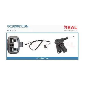802890DEBN REAL