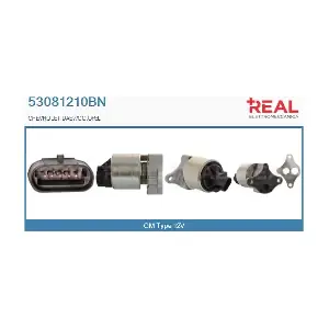 53081210BN REAL