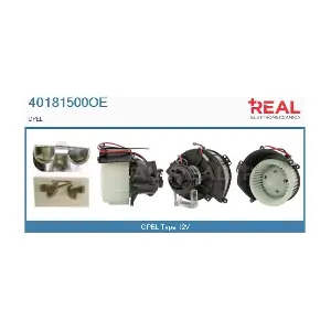 40181500OE REAL