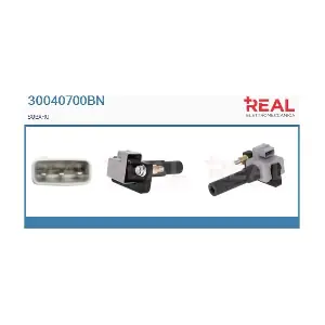 30040700BN REAL