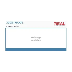 30081700OE REAL
