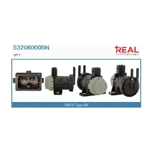 53206000BN REAL