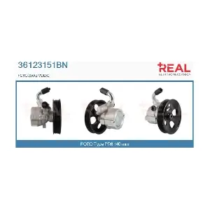 36123151BN REAL