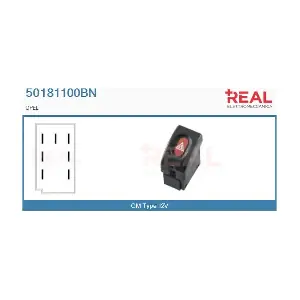 50181100BN REAL