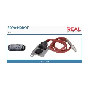 8029440BOE REAL