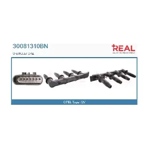 30081310BN REAL