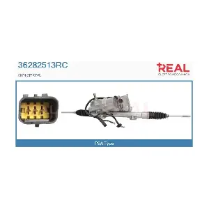 36282513RC REAL