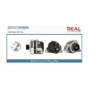 20101604BN REAL