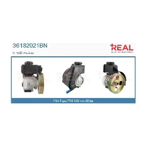 36182021BN REAL