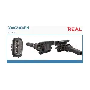 30002300BN REAL