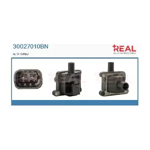 30027010BN REAL