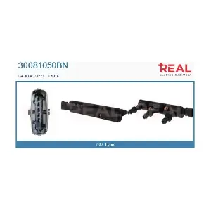 30081050BN REAL