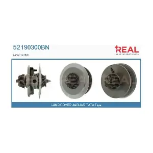 52190300BN REAL