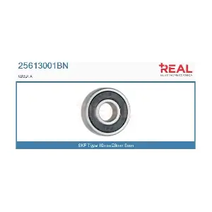 25613001BN REAL